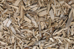 biomass boilers Llanigon