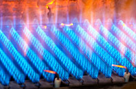 Llanigon gas fired boilers